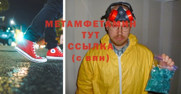 индика Нязепетровск