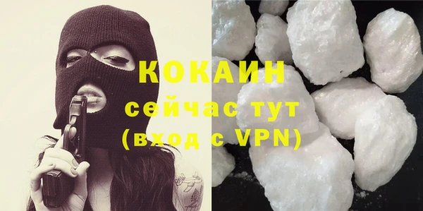 индика Абаза