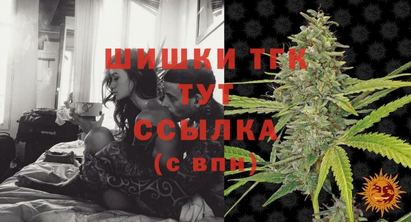 индика Абаза