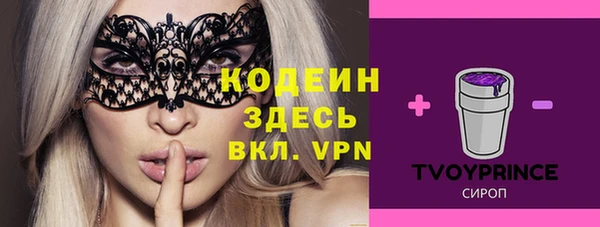 индика Абаза