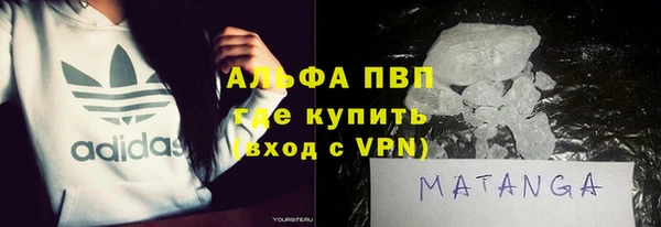 прущие грибы Абдулино