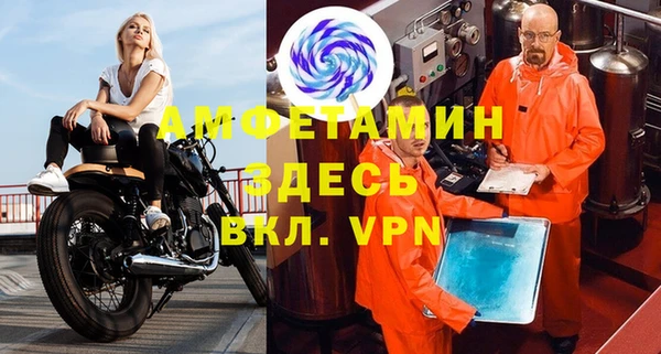 индика Абаза