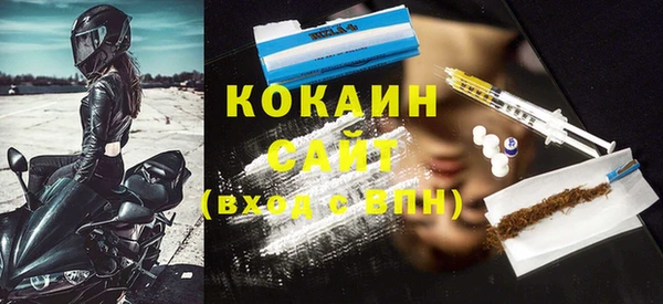 индика Абаза