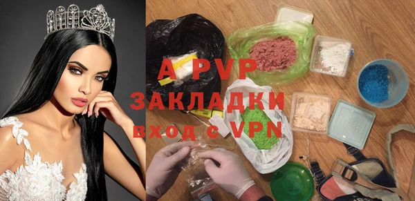 прущие грибы Абдулино
