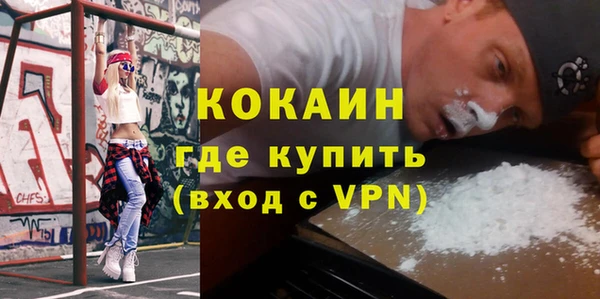 индика Абаза