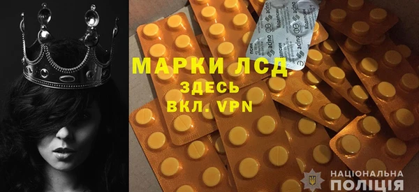 прущие грибы Абдулино