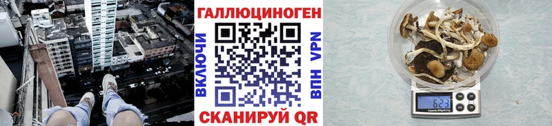 Галлюциногенные грибы MAGIC MUSHROOMS  Ивантеевка 